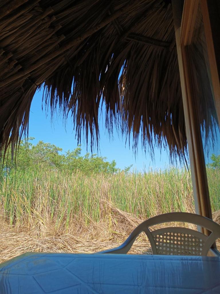 El Viejo del Mar photo 1
