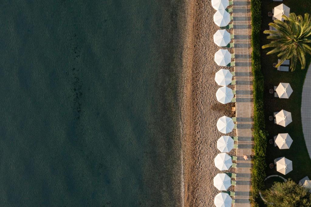 Elea Beach Hotel photo 3