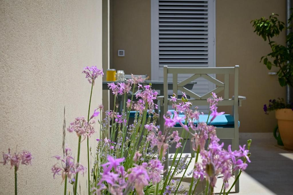 Apartman Festini Pag photo 2