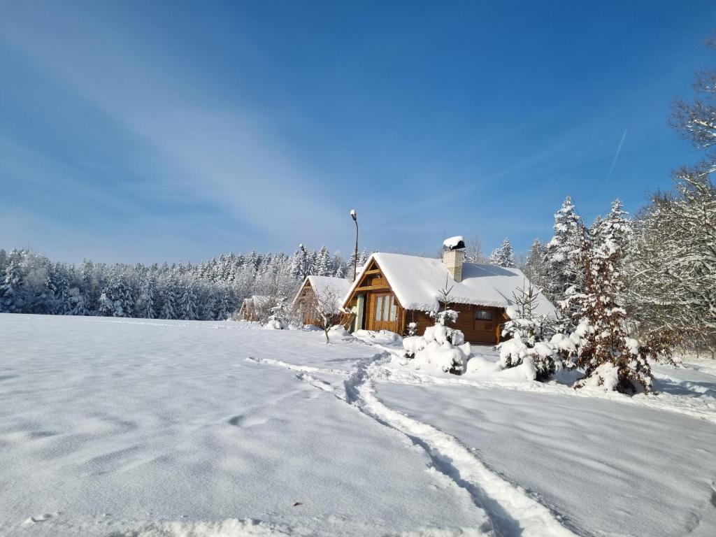 Chatky Apollo na Vysočině photo 1