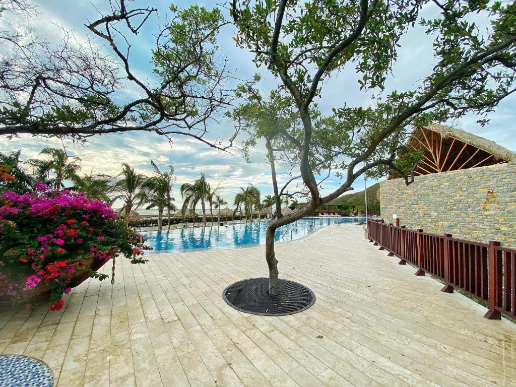 Increible apartamento Santa Marta con vista Espectacular photo 3