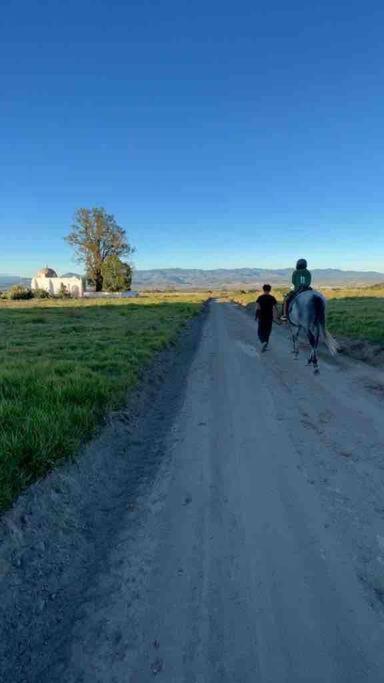 Increíble Rancho en Huamantla photo 1