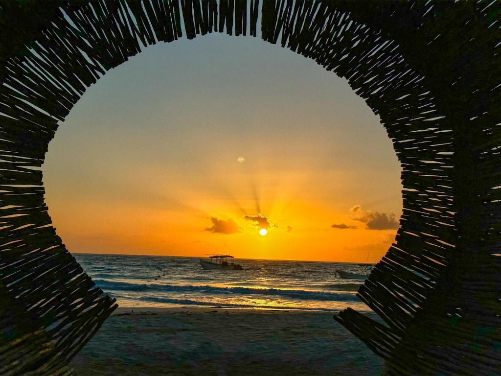 Alito Tulum Hotel - Tap to explore photos