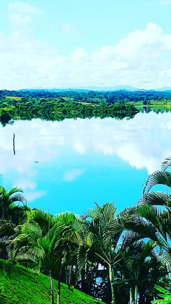 Cabana's on Gatun Lake in Arenosa photo 2