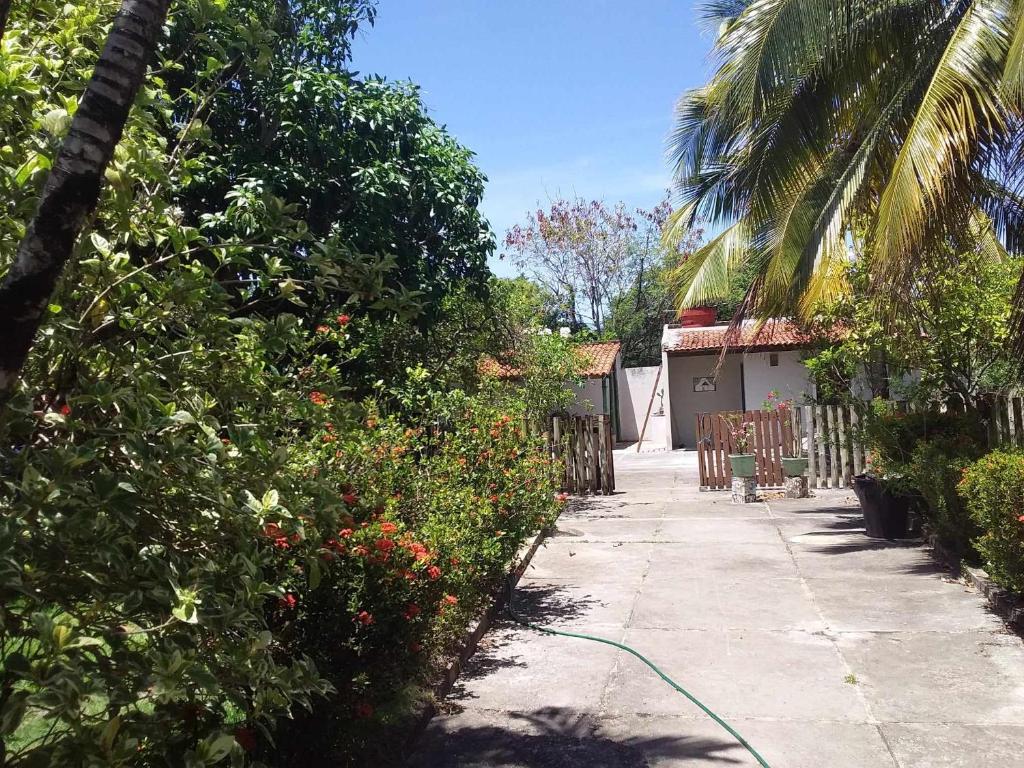 Casa de Praia Itacimirim Bahia photo 4