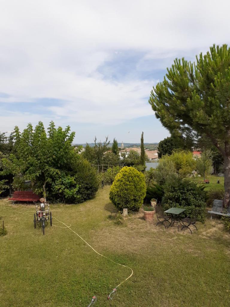 Petit Paradis chez Pascale et Bernard photo 1