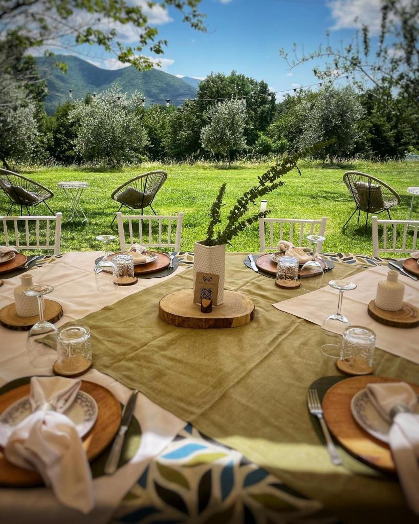 Tenuta delle Acque photo 3