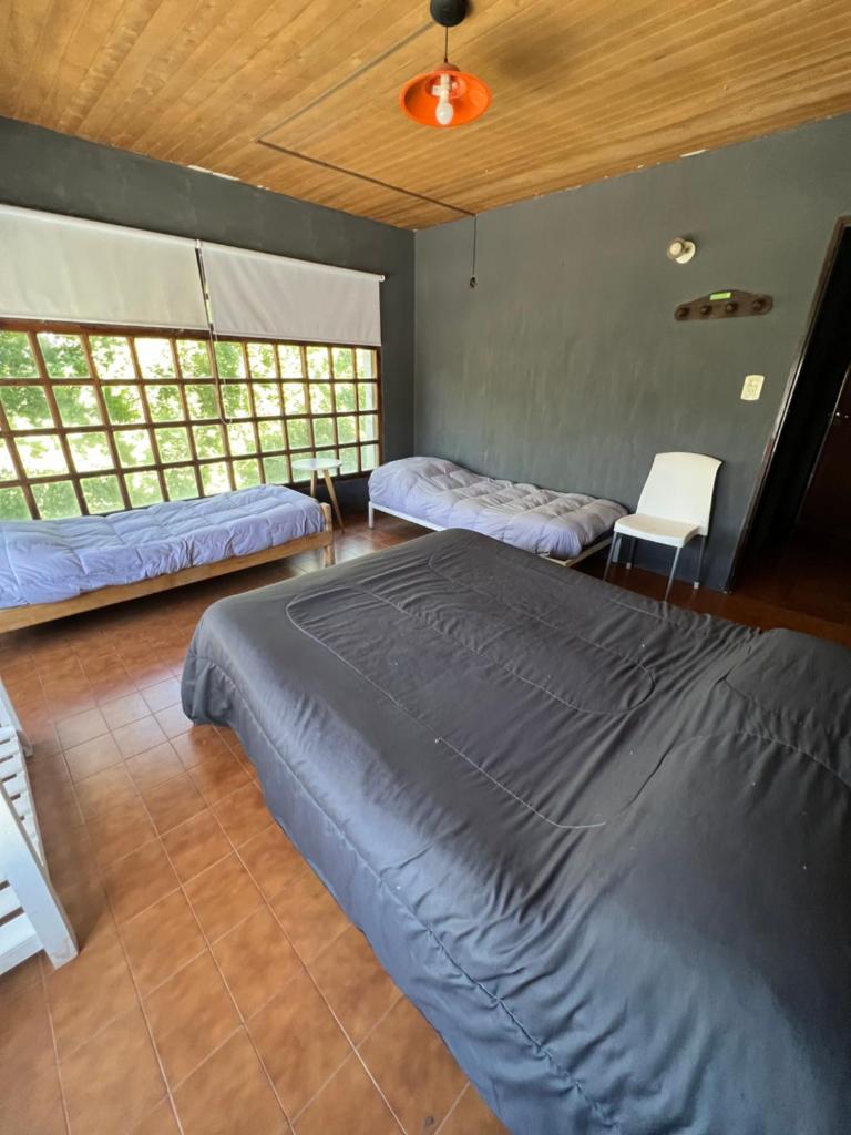 HOSTEL PEHUENIA photo 3