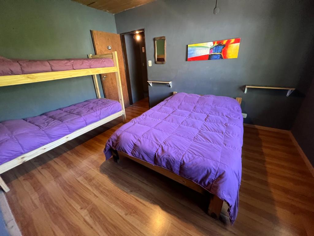 HOSTEL PEHUENIA photo 2
