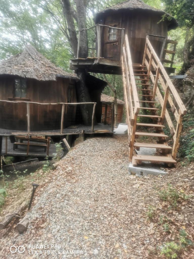 Les Cabanes de Brassac photo 3