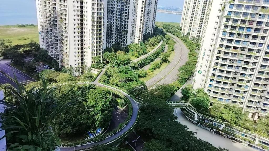Forest森林城市01