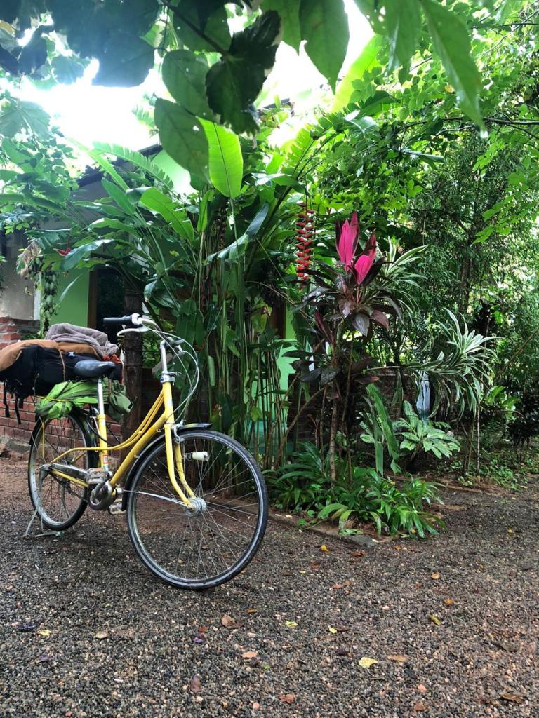 Evergreen Villa Nature Resort photo 3