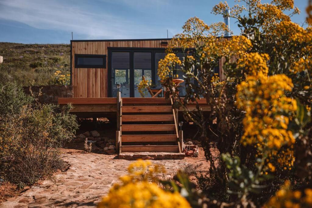 Solace Eco Cabins - Tea Cabin photo 4
