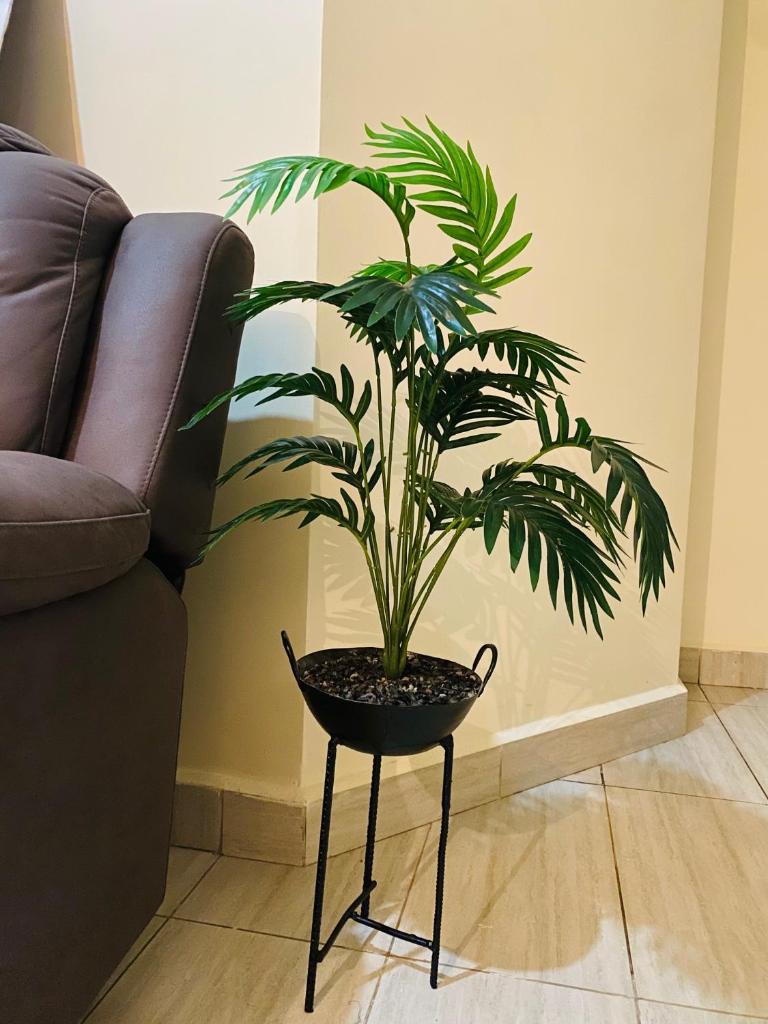 Luxury 2 bedroom, Ruaka: Lift.Wifi.Netflix photo 1