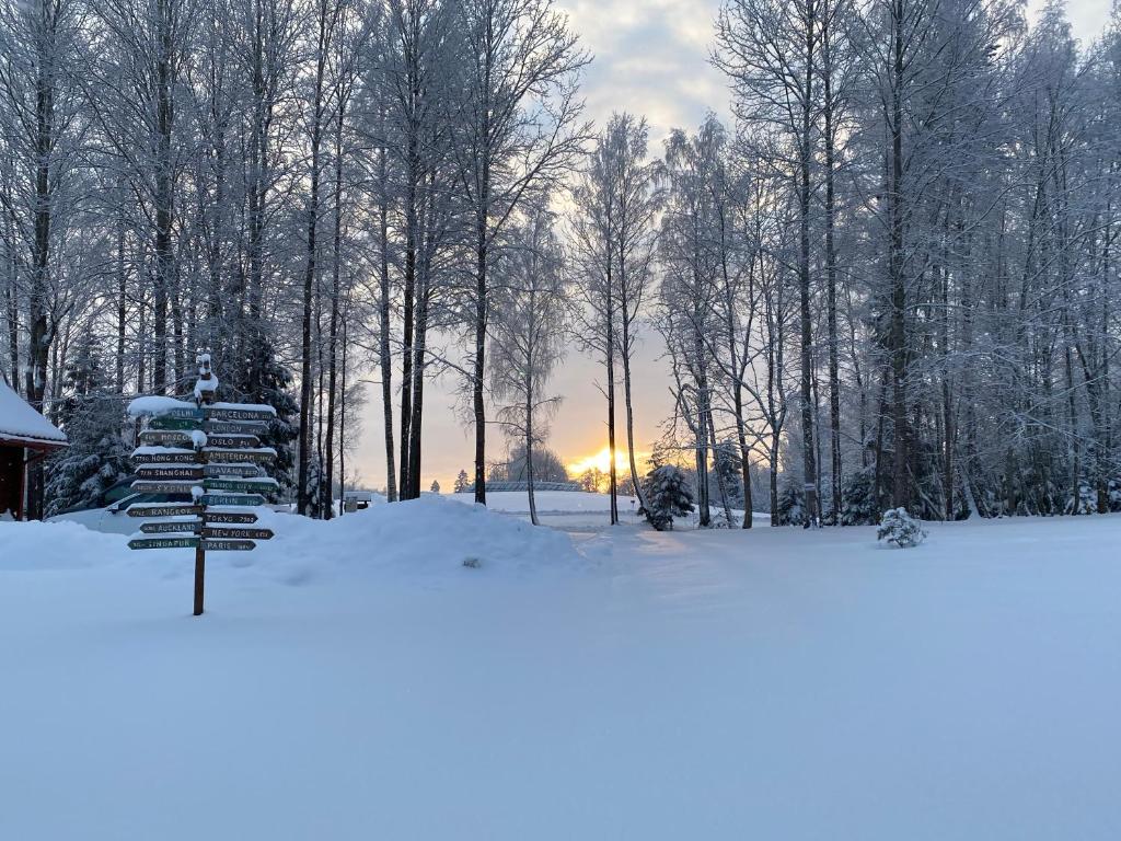 Järveoru photo 3