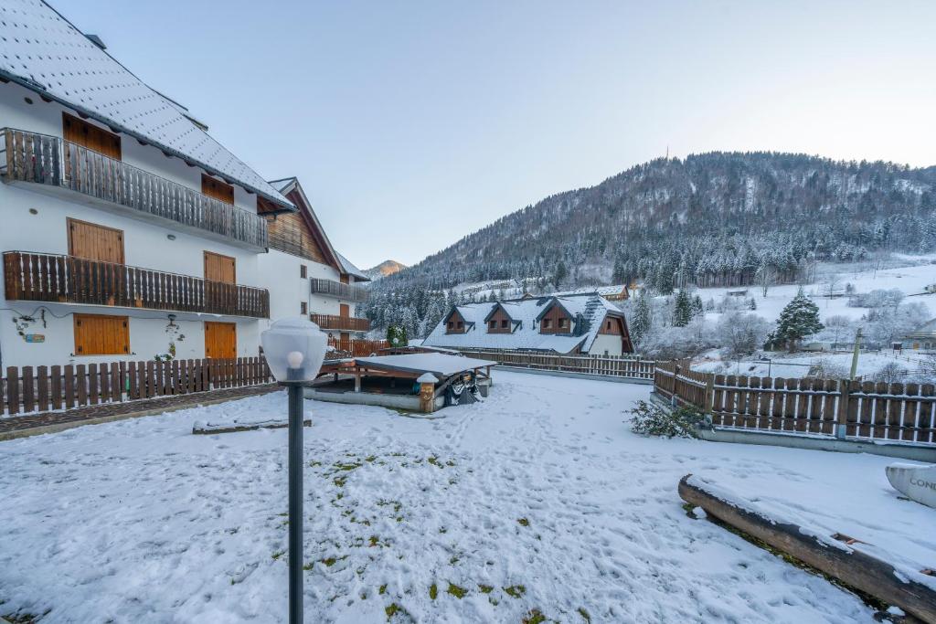 Small & Charming Apt - Overlooking the Alps photo 4