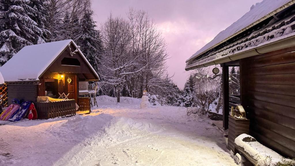 Dwarfs cabin overlooking Julian Alps near Bled photo 1