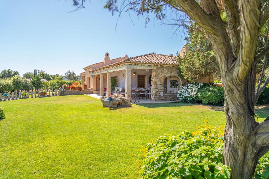Villa Degli Ulivi photo 2