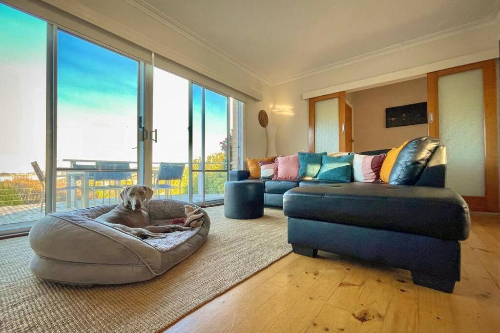 Saltwater Haven - Pets Welcome. Wifi. Amazing View photo 4