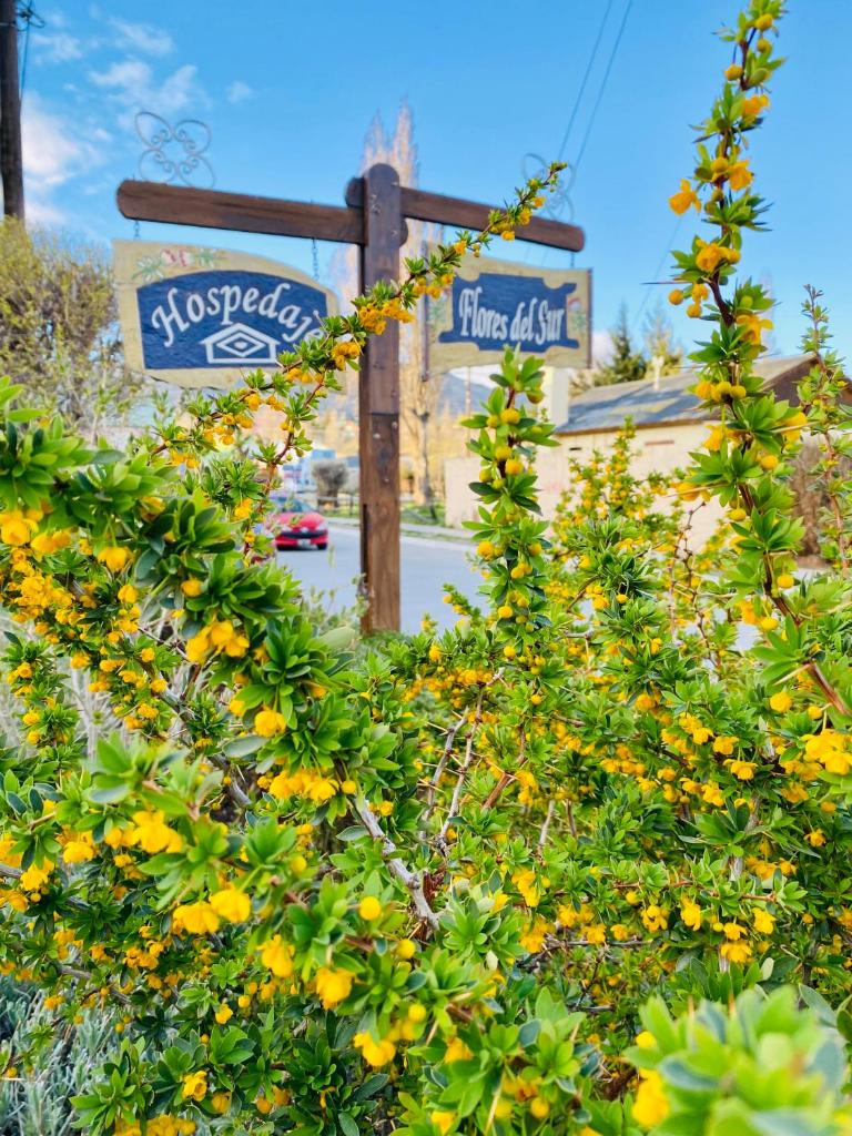 Hospedaje Flores del Sur
