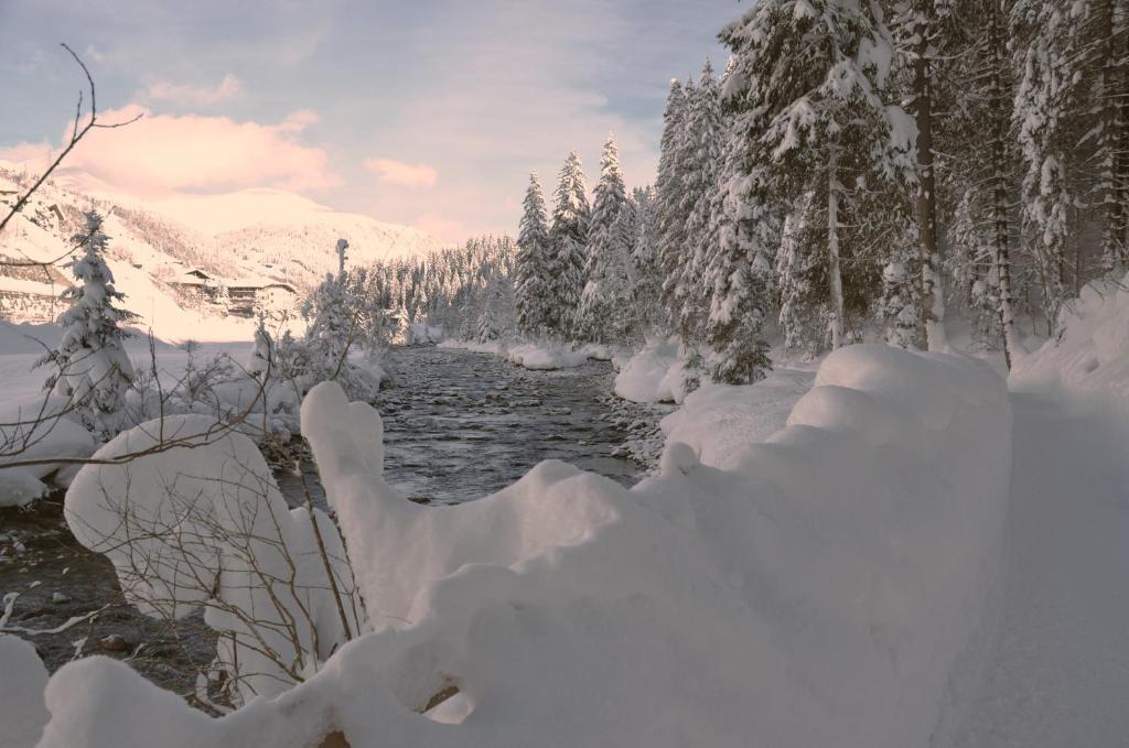Pension Zillertal photo 3