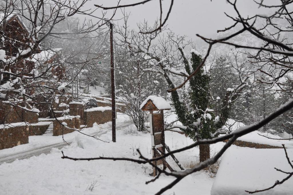 Oreias Chalet photo 4