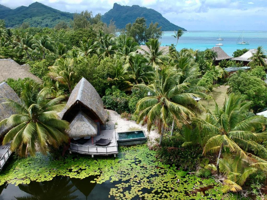 Maitai Lapita Village Huahine photo 4