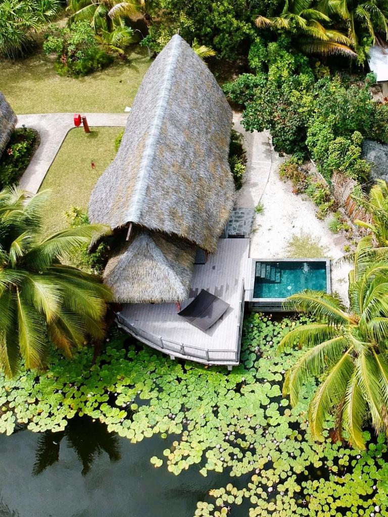 Maitai Lapita Village Huahine photo 3