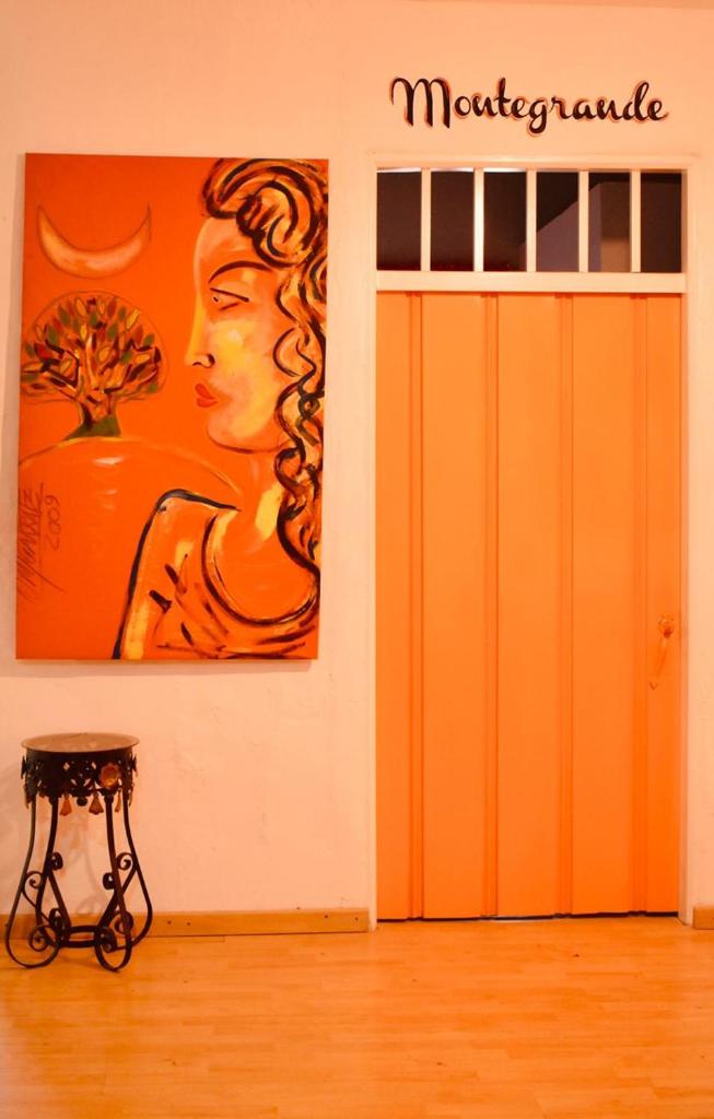 Hostal arbol cafe caicedonia photo 3