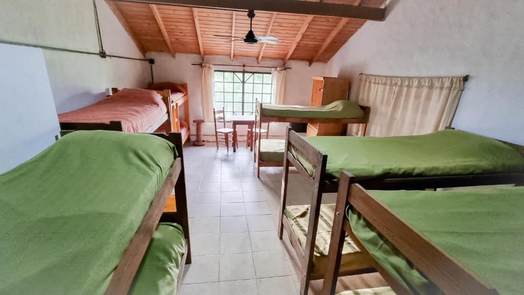 La María Paloma photo 1