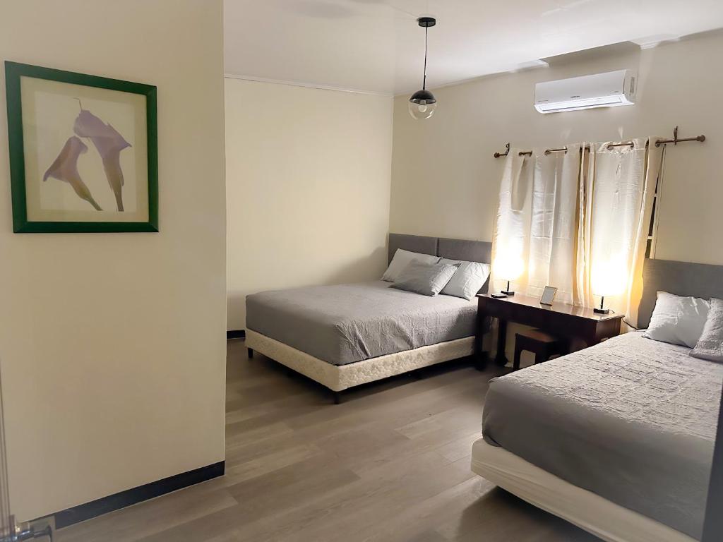 Helechos Hotel photo 1