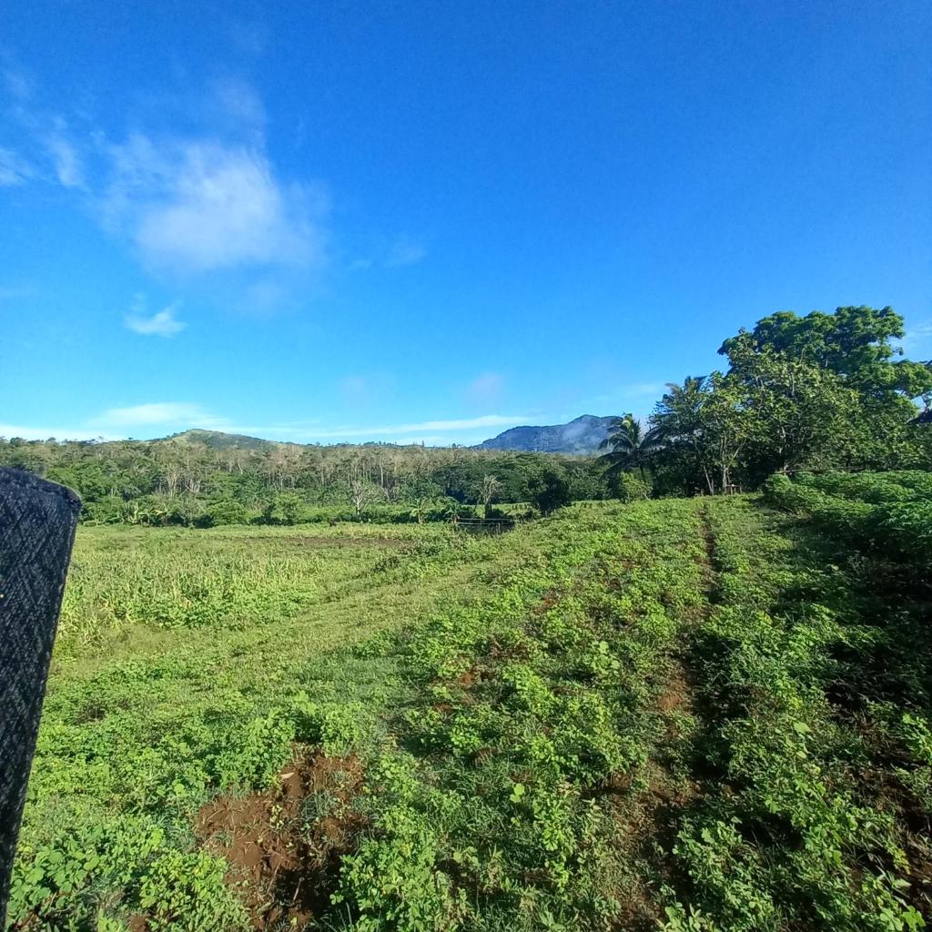 Highlands Homestay Fiji photo 2