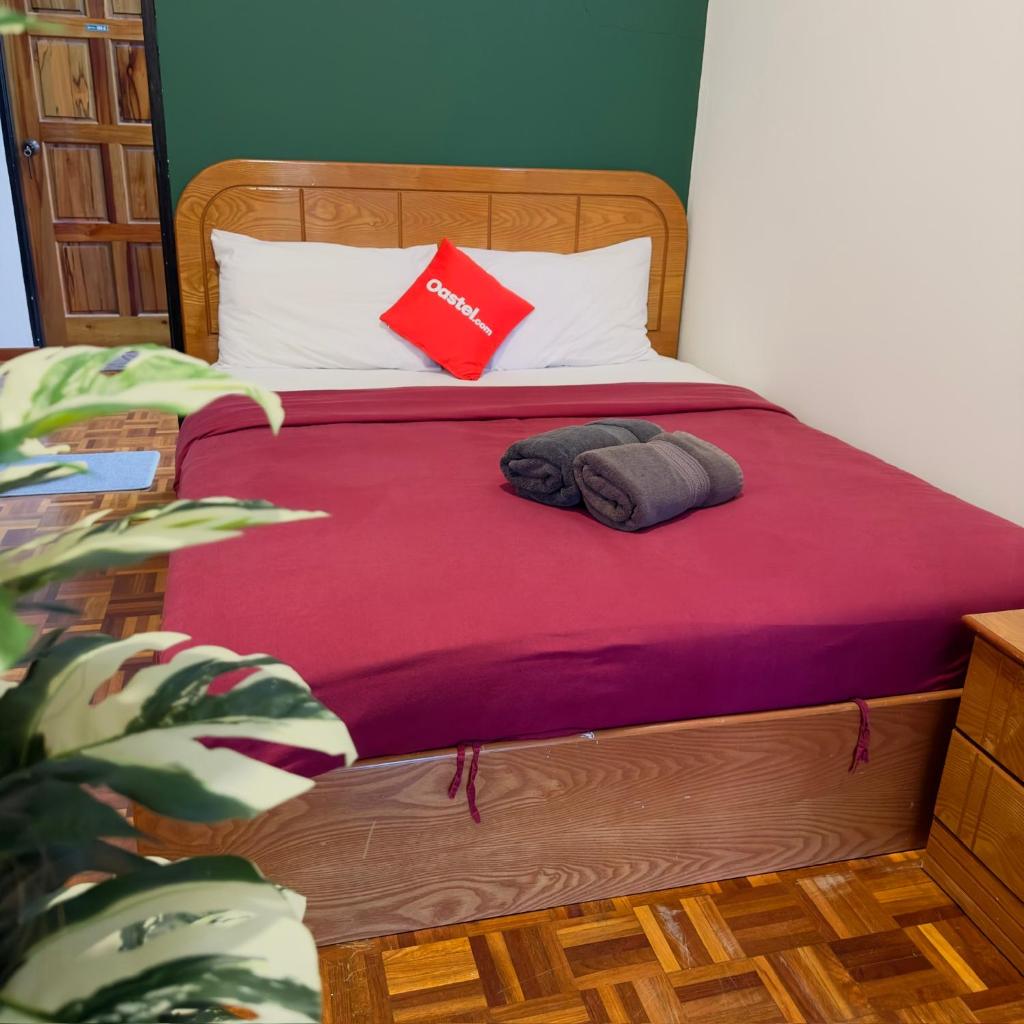 100 Oastel coLiving photo 4