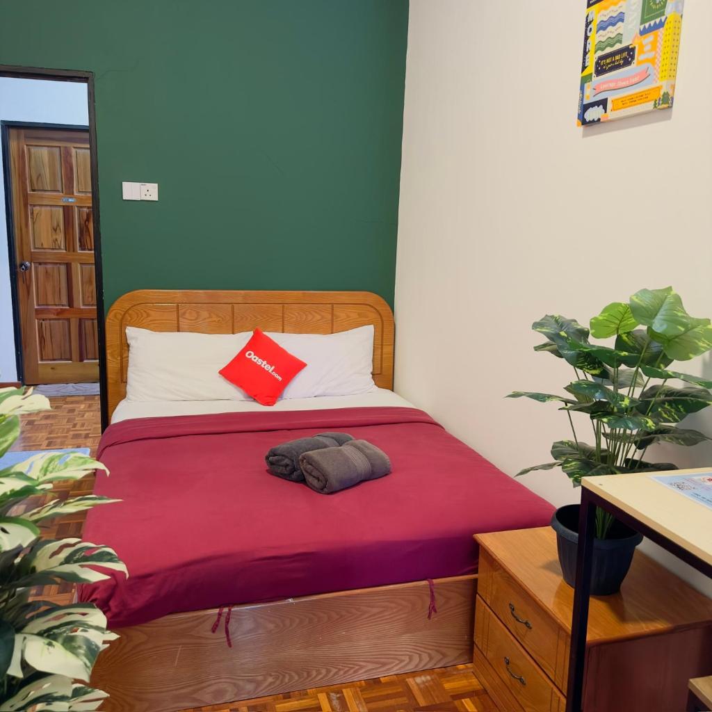 100 Oastel coLiving photo 3