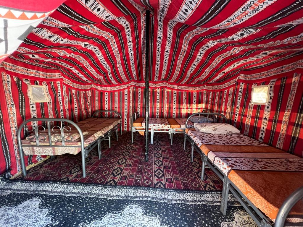Big dune camp photo 2