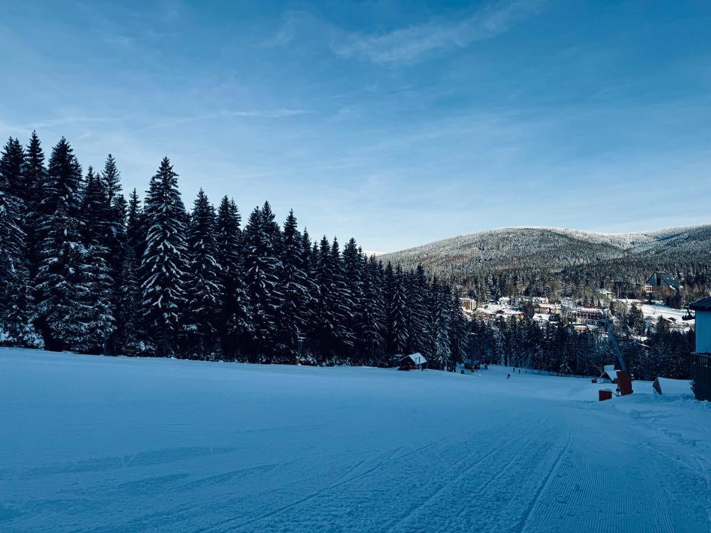 Myslivna Harrachov photo 1