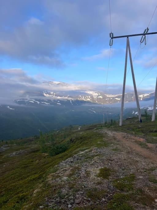 Tromsø’s best location? City & Nature 5 mins away. photo 4