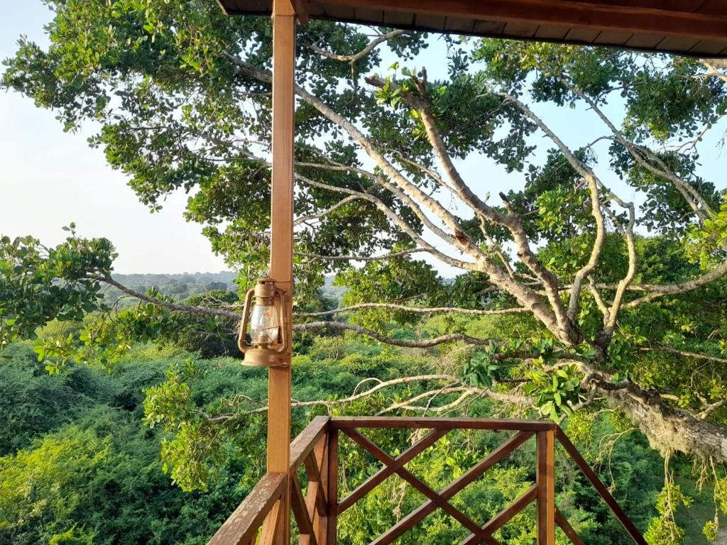 Leopard Nest - Glamping in Yala photo 4
