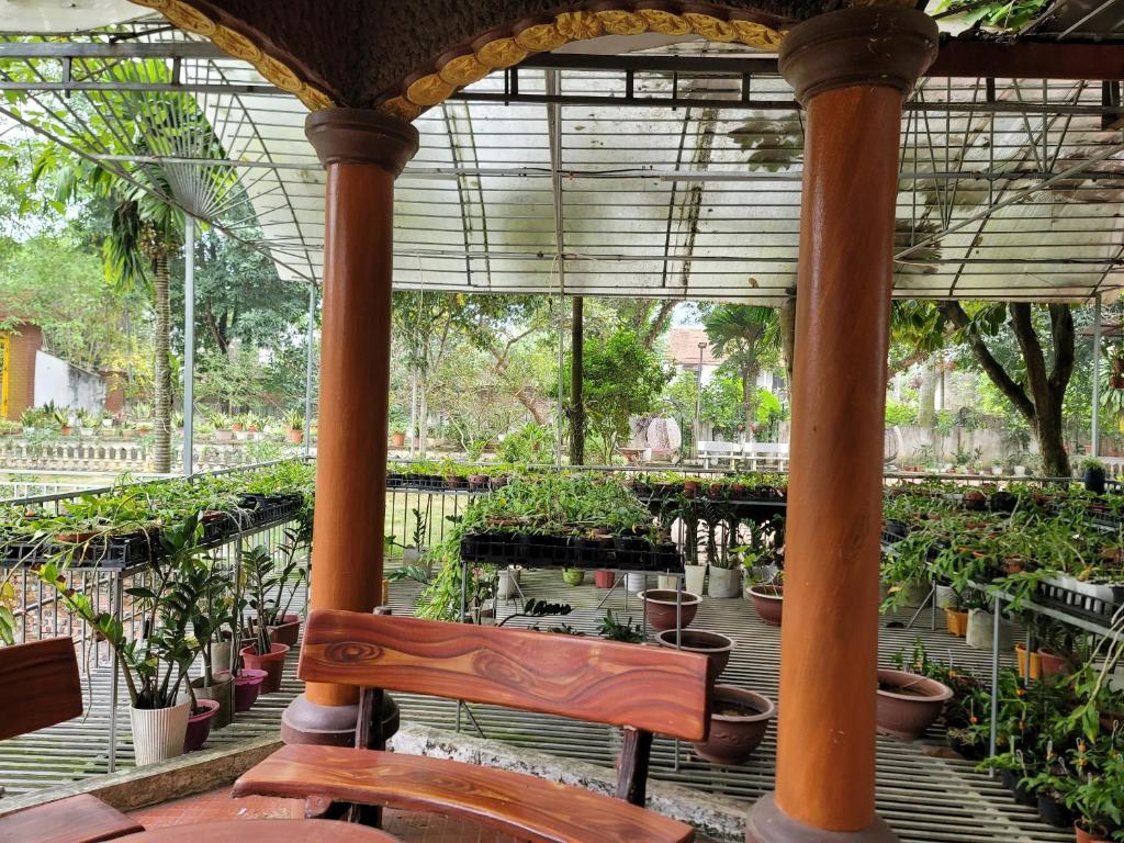 Lâm Viên Homestay Hà Nội