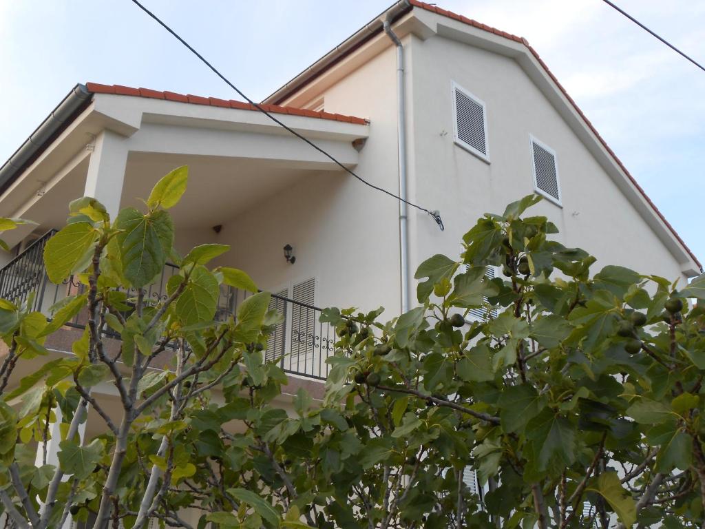 Apartments Katarina photo 1
