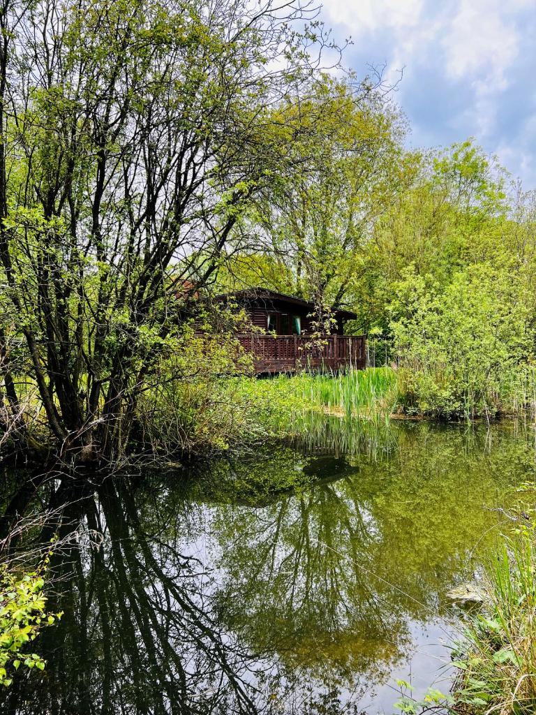Secluded Rustic Cabin - A Digital Detox Paradise. photo 1