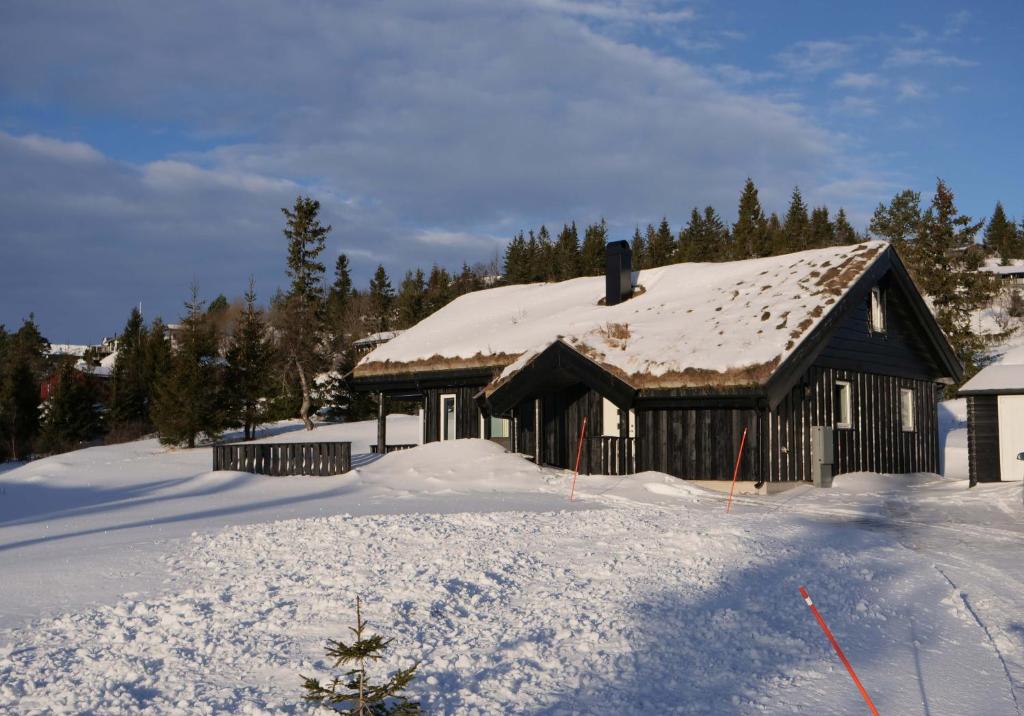 Perfect location at Lifjell