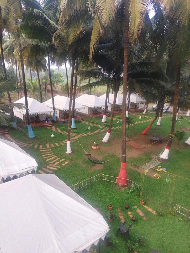 Blue Coast beach resort photo 2