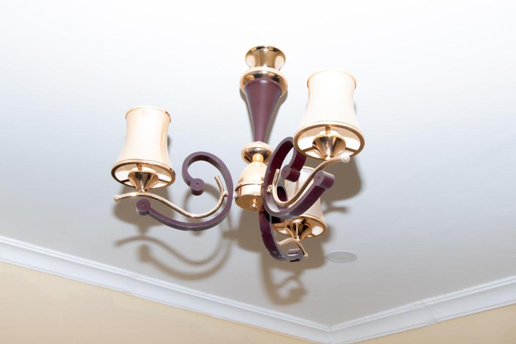 Lavish Haven Home photo 2