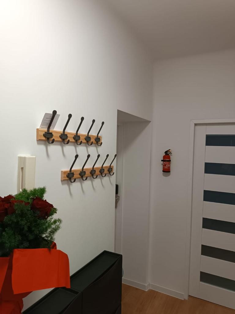 Apartament Sienkiewicza photo 3