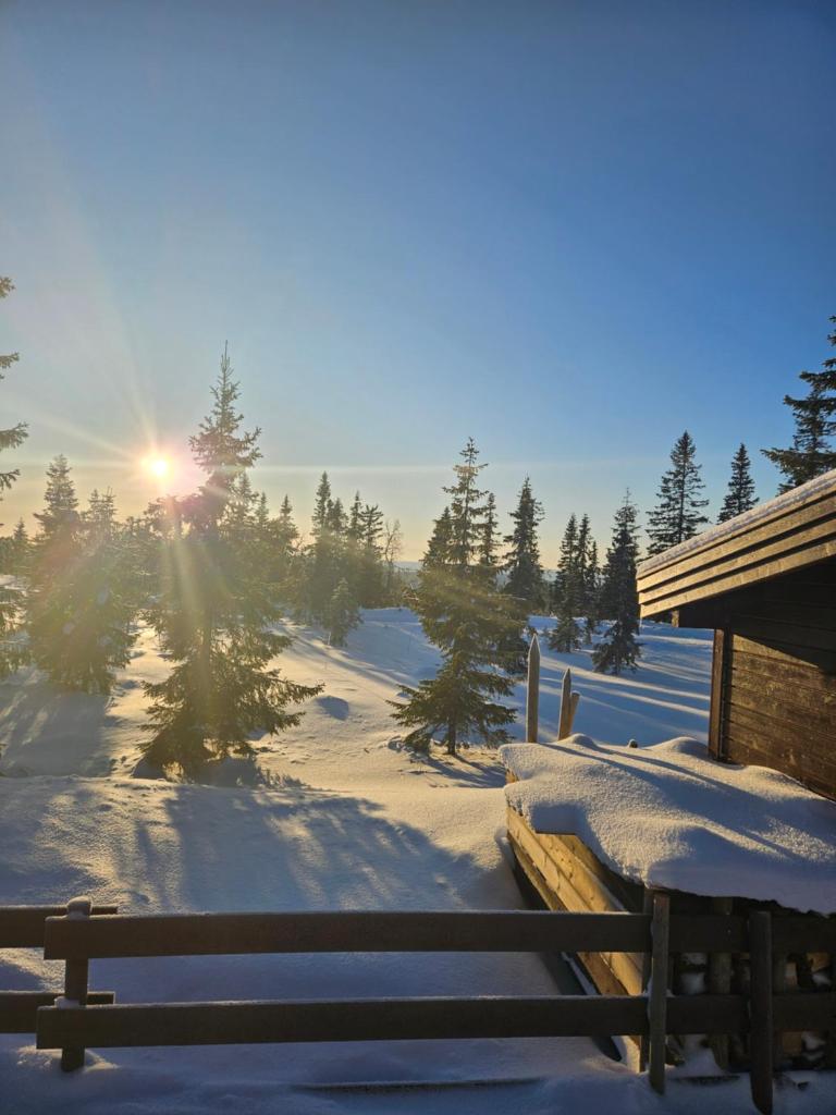 Hytte i Ringsaker (Ljøsheim/Sjusjøen) photo 2