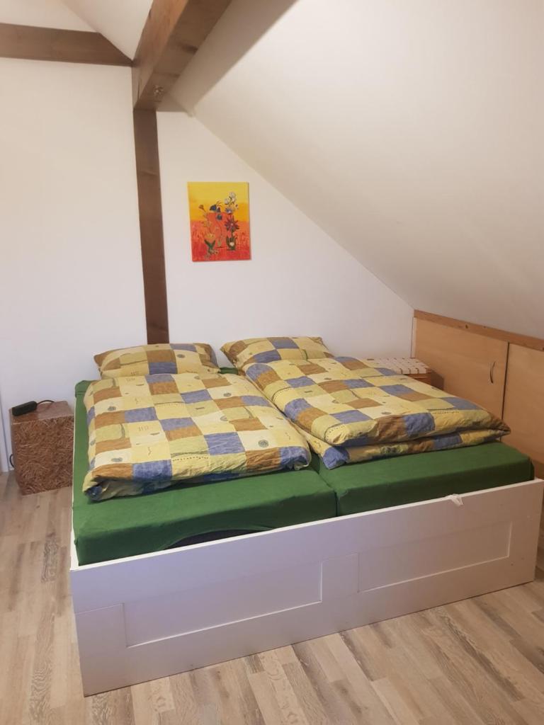 Ferienwohnung auf kleinem Pferdehof in Much photo 3