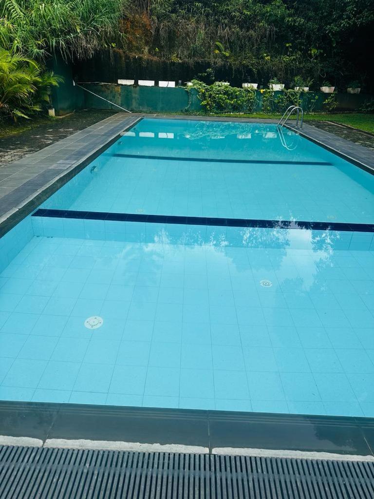 Golden Resort photo 2