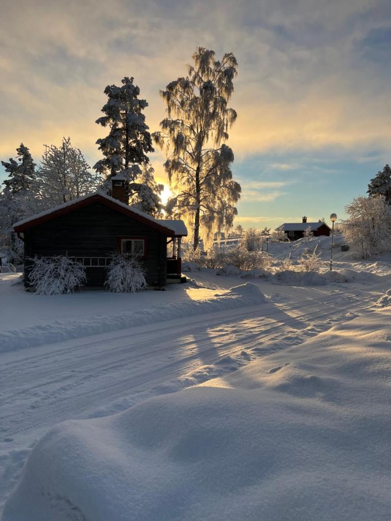 Siljansnäs Stugby & Resort photo 4