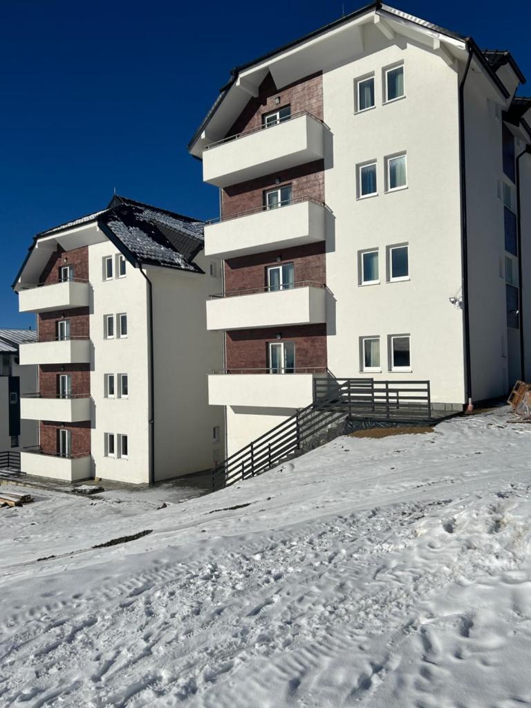 Ramondia, Kopaonik